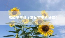 高帧率手机（高帧率手机推荐）