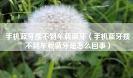 手机蓝牙搜不到车载蓝牙（手机蓝牙搜不到车载蓝牙是怎么回事）