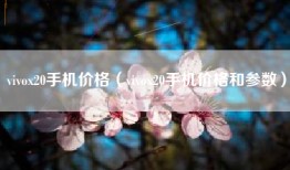 vivox20手机价格（vivox20手机价格和参数）