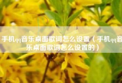 手机qq音乐桌面歌词怎么设置（手机qq音乐桌面歌词怎么设置的）