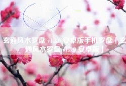 玄通风水罗盘 v1.3.0 安卓版手机罗盘「玄通风水罗盘 v1.3.0 安卓版」