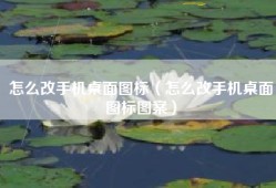怎么改手机桌面图标（怎么改手机桌面图标图案）