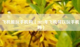 飞机能玩手机吗（2021年飞机可以玩手机吗）