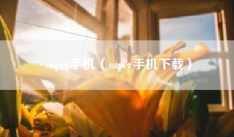super手机（super手机下载）