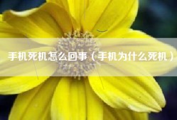 手机死机怎么回事（手机为什么死机）