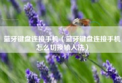 蓝牙键盘连接手机（蓝牙键盘连接手机怎么切换输入法）