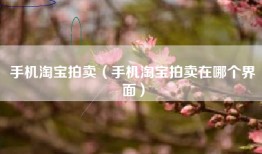 手机淘宝拍卖（手机淘宝拍卖在哪个界面）
