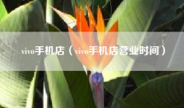vivo手机店（vivo手机店营业时间）