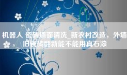 机器人 瓷砖墙面清洗_新农村改造，外墙旧瓷砖翻新能不能用真石漆