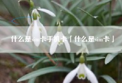 什么是sim卡手机卡「什么是sim卡」