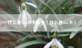 什么是sim卡手机卡「什么是sim卡」