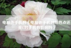 电脑连手机网（电脑连手机网用热点还是U对手机有影响吗）