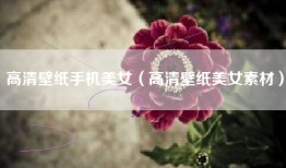 高清壁纸手机美女（高清壁纸美女素材）