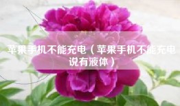 苹果手机不能充电（苹果手机不能充电说有液体）