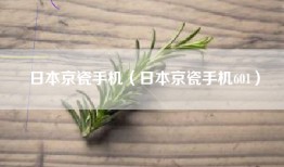日本京瓷手机（日本京瓷手机601）