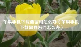 苹果手机下载要密码怎么办（苹果手机下载需要密码怎么办）