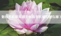 魅族手机模拟器（魅族手机模拟器在哪）