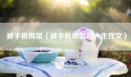 被手机绑架（被手机绑架的人生作文）