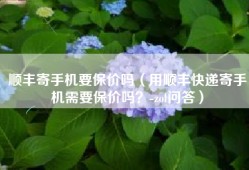 顺丰寄手机要保价吗（用顺丰快递寄手机需要保价吗？-zol问答）