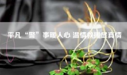 平凡“警”事暖人心 温情救援显真情