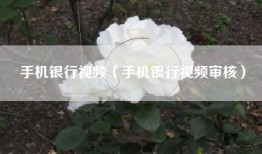 手机银行视频（手机银行视频审核）