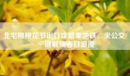 北宅樱桃花节出行攻略乘地铁、坐公交  一键解锁春日浪漫