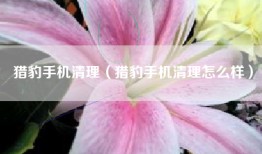 猎豹手机清理（猎豹手机清理怎么样）