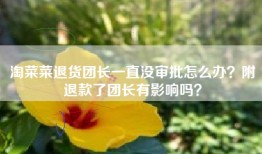 淘菜菜退货团长一直没审批怎么办？附退款了团长有影响吗？