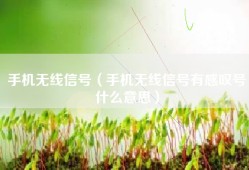 手机无线信号（手机无线信号有感叹号什么意思）