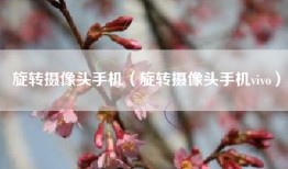 旋转摄像头手机（旋转摄像头手机vivo）