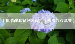 手机卡改套餐怎么改（手机卡咋改套餐）