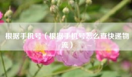 根据手机号（根据手机号怎么查快递物流）