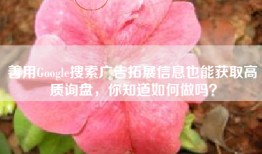 善用Google搜索广告拓展信息也能获取高质询盘，你知道如何做吗？