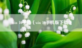 win 10手机（win 10手机版下载）