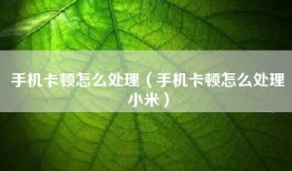 手机卡顿怎么处理（手机卡顿怎么处理小米）