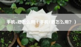 手机u盾怎么用（手机U盾怎么用？）