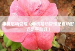 手机启动管理（手机启动管理是自动好还是手动好）