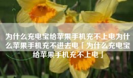 为什么充电宝给苹果手机充不上电为什么苹果手机充不进去电「为什么充电宝给苹果手机充不上电」