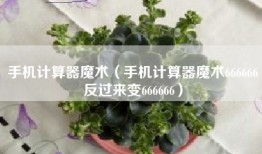 手机计算器魔术（手机计算器魔术666666反过来变666666）