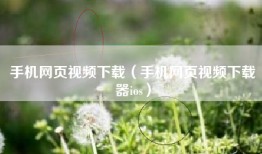手机网页视频下载（手机网页视频下载器ios）
