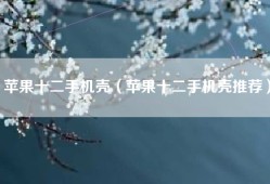 苹果十二手机壳（苹果十二手机壳推荐）