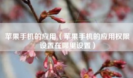 苹果手机的应用（苹果手机的应用权限设置在哪里设置）