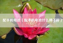 配手机电池（配手机电池什么牌子好）