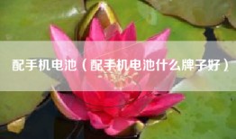 配手机电池（配手机电池什么牌子好）