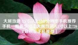 大屏当道 4.5寸以上720P分辨率手机推荐手机一般多少寸「大屏当道 4.5寸以上720P分辨率手机推荐」