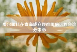 爱尔眼科在青海成立疑难眼病远程会诊分中心