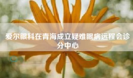 爱尔眼科在青海成立疑难眼病远程会诊分中心