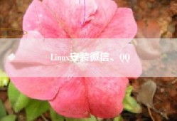 Linux安装微信、QQ