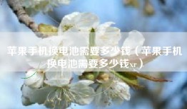苹果手机换电池需要多少钱（苹果手机换电池需要多少钱xr）