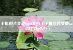 手机照片变成word文档（手机照片变成word文档怎么办）